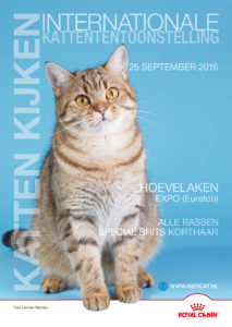 poster-hoevelaken-25-9-2016