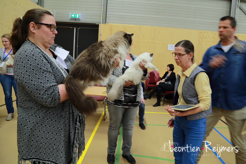 2016-04-03_neocat-dalfsen_212