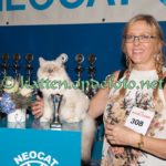 nct-hoevelaken-25-september-2016-015