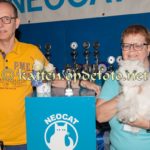 nct-hoevelaken-25-september-2016-041