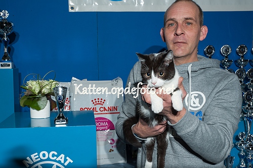 sized_Neocat Houten 20170129-017