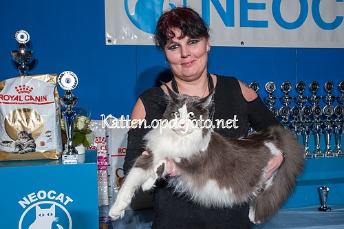 sized_Neocat Houten 20170129-065