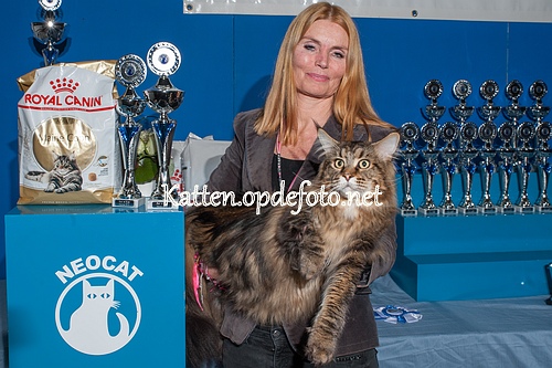 sized_Neocat Houten 20170129-071