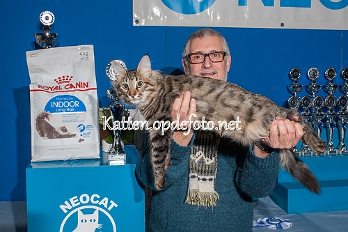 sized_Neocat Houten 20170129-073