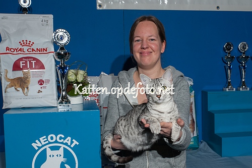 sized_Neocat Houten 20170129-082